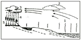 Perhatikan gambar siklus hidrologi di bawah ini: