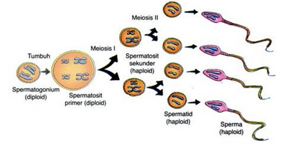 Jinsiy hikoyalar mmm