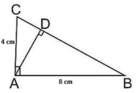 Perhatikan gambar berikut. Panjang AD adalah...