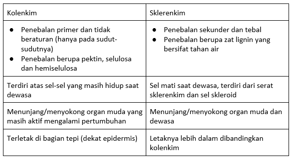 Pernyataan Di Bawah Ini Yang Tepat Menunjukkan Per